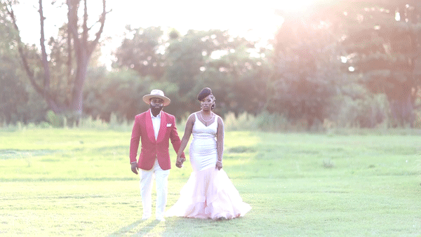 Wedding highlight